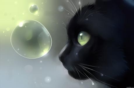 黑猫，绘图，泡沫