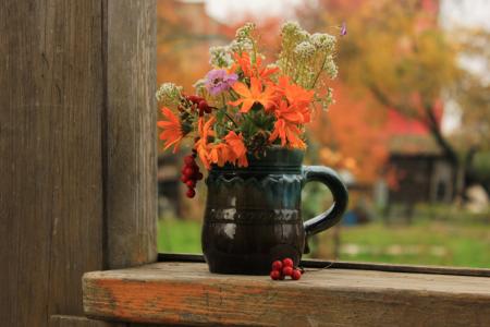 窗台，鲜花，秋天，组成