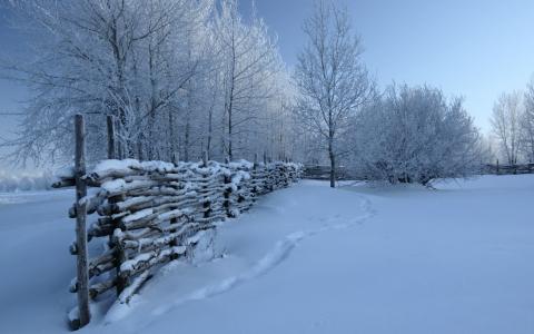 篱笆，大自然，冬天，雪