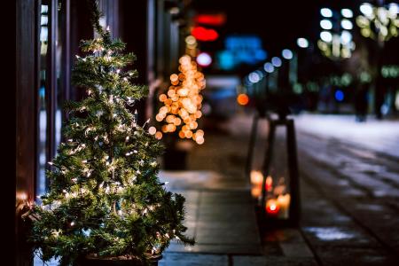圣诞树，圣诞节，新年，路灯，城市