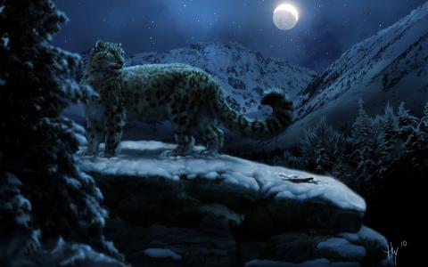雪豹，月亮，冬天