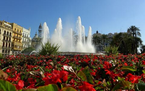 巴伦西亚，西班牙，巴伦西亚，西班牙，喷泉，鲜花，秋海棠，花圃