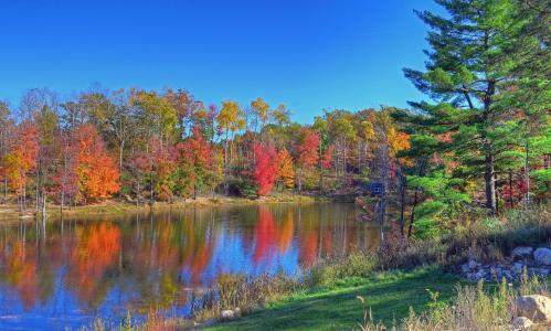 密歇根州，湖，秋天，树木，景观