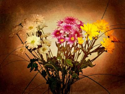 鲜花，花束，植物区系