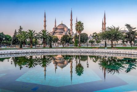 蓝色清真寺，苏丹艾哈迈德清真寺，伊斯坦布尔，土耳其，蓝色清真寺，苏丹艾哈迈德清真寺，伊斯坦布尔，土耳其，池，树，棕榈树，反思