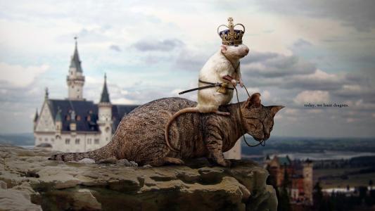 猫，老鼠，城堡