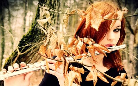 红头发，女孩，长笛，秋天，叶子，金色，颜色，下，成为，头发