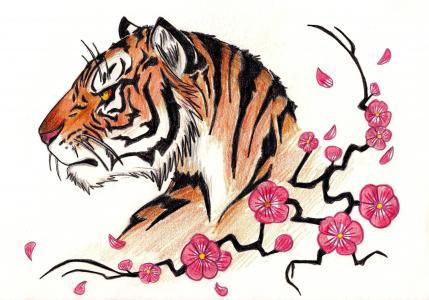 老虎，艺术，樱花