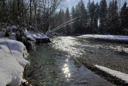 冬天，河，流，自然，森林