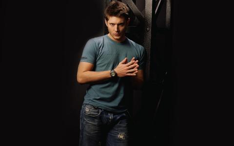 演员，T恤，牛仔裤，男人，Jensen eccles，看