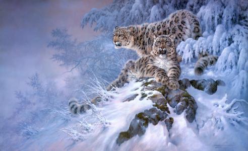 艺术，森林，雪豹，雪，冬天