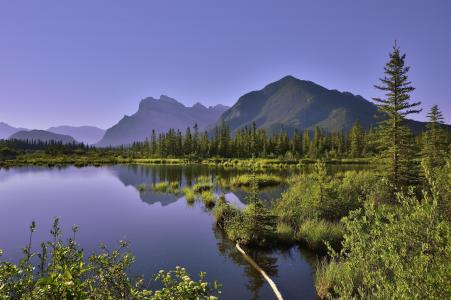 景观，自然，湖，山，树，湖弗米利恩，班夫国家公园，加拿大阿尔伯塔省