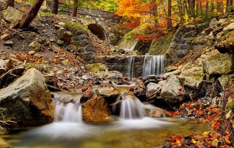 河，瀑布，秋，桥，树，石头，性质