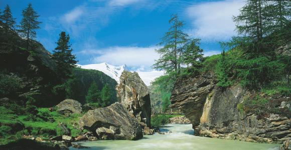 Nationalpark Hohe Tauern，河流，岩石，树木，桥梁，景观