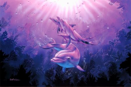 Christian Riese Lassen，海豚，海底深处，珊瑚，艺术