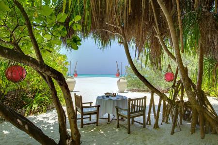 马尔代夫，桌子，椅子，树，海，内部