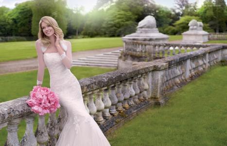 Lindsay Ellingson，模特，新娘，微笑，假期，婚礼，礼服，鲜花，性质