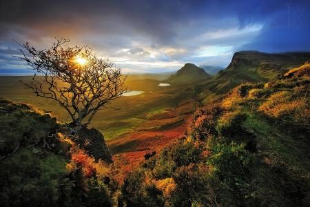 树，山，射线，性质，苏格兰，苏格兰，斯凯