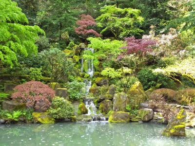 池塘，瀑布，石头，树木，花园，日本庭园