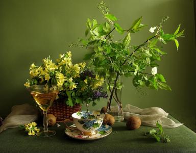 鲜花，分支，杯子，桌子