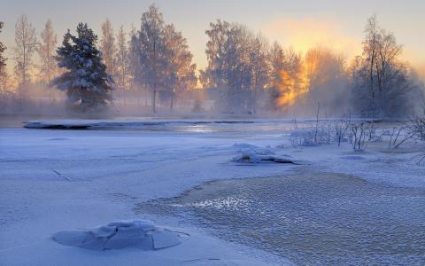 Voxnan河，Haßlingland，瑞典，瑞典，冬天，河，树，雪，景观，日出，早上