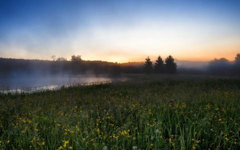 河，领域，雾，风景，早晨