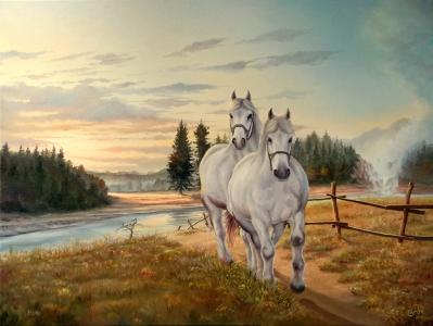 马，草，鬃毛，绘画，白色