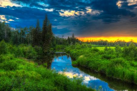日落，河，树木，艾伯塔省，加拿大，景观