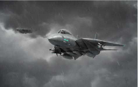 喷气式战斗机，f-14，tomket