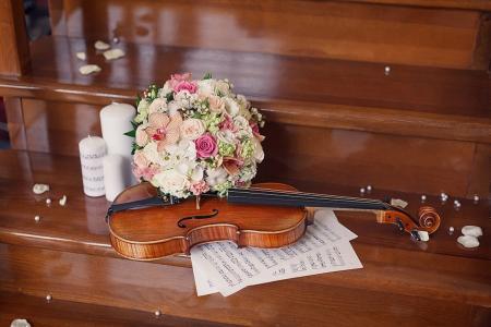 鲜花，心情，宏，小提琴