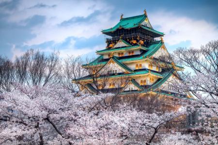 日本，城市，春天，寺庙，天空