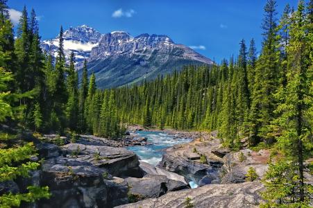 米斯塔亚河，艾伯塔省，加拿大，艾伯塔省，加拿大，河流，山脉，森林，树木，岩石，景观