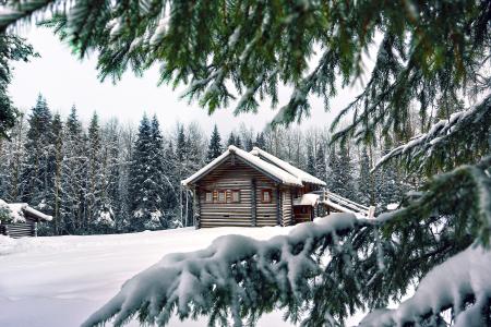 雪，冬天，房子，针，冷杉，树木