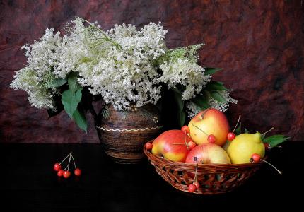 花瓶，静物，鲜花，苹果，水果