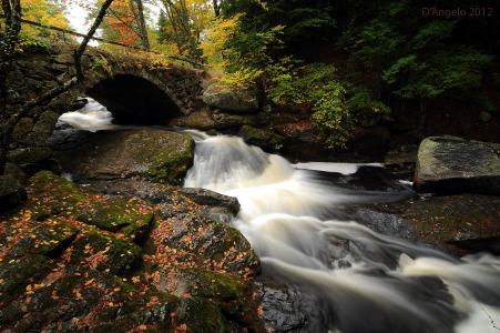 河，桥，秋，石头，小溪，叶子，森林