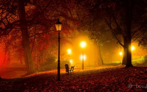 公园，秋季，光，暮光之城，灯，晚上