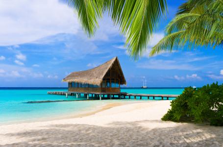 马尔代夫，沙滩，棕榈树，沙滩，海洋