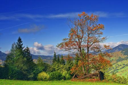 罗马尼亚，秋天，树木，天空，山，景观