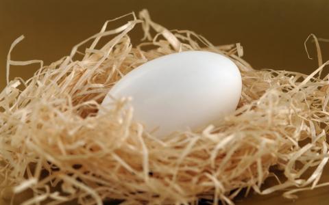 复活节彩蛋，巢