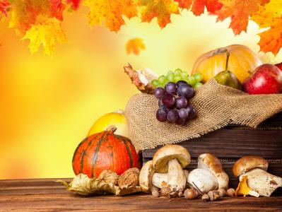 秋天，收获，水果，蔬菜，蘑菇，南瓜，葡萄，苹果，叶子