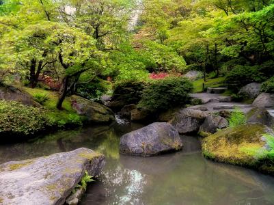 公园，树木，河流，石头，景观，日本庭园