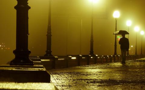 晚上，雨，路堤，灯光，男人，孤独