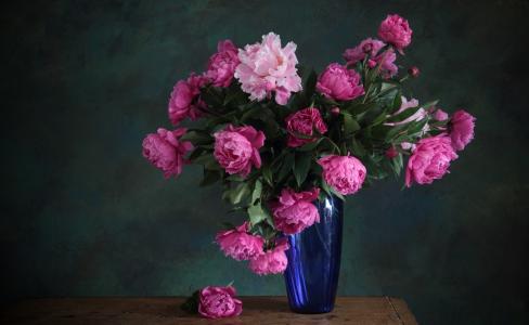 粉红色，花瓶，花束，鲜花，蓝色，牡丹
