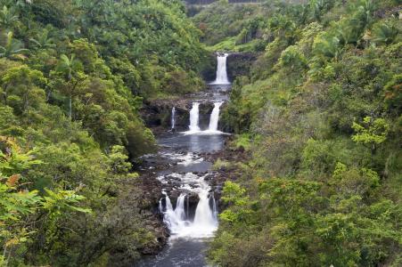 夏威夷，森林，河流，瀑布，瀑布
