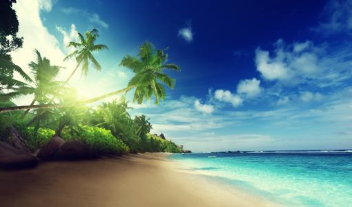 海滩，海岸，蓝色，海，天堂，热带，棕榈，翡翠，海洋