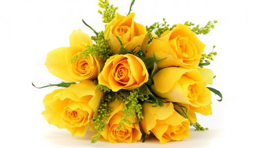 花束，黄玫瑰
