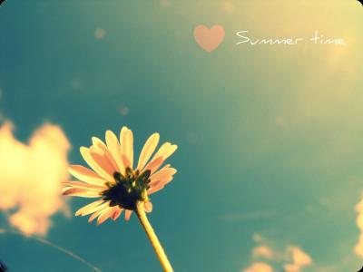 夏天，季节，花卉，天空