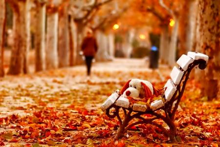 公园，秋天，树叶，长凳，玩具，长毛绒，男子，剪影，树木，自然，感情，心情，剪影