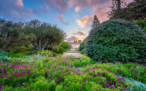 皇家植物园，悉尼，сад，政府的房子