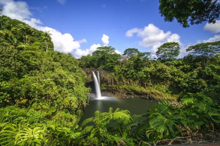 彩虹瀑布，希洛，夏威夷，夏威夷，瀑布，森林，热带地区